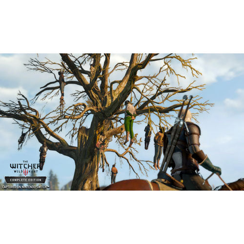 The Witcher 3: Wild Hunt Édition complète (Switch)