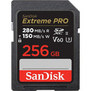 Carte SanDisk Extreme Pro SDXC UHS-I 256 Go - C10, U3, V30, 4K UHD, carte SD - SDSDXXY-256G-GN4IN, noir