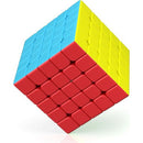 ROXENDA Speed Cube Profession 5X5 Fast Cube - Fast Smooth Turning - Solid Durable & Stickerless Frosted
